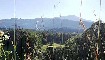 Schlenken in Bad Vigaun